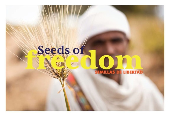 Resultado de imagen de seeds of freedom